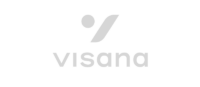 Logo_Web_Visana_grey